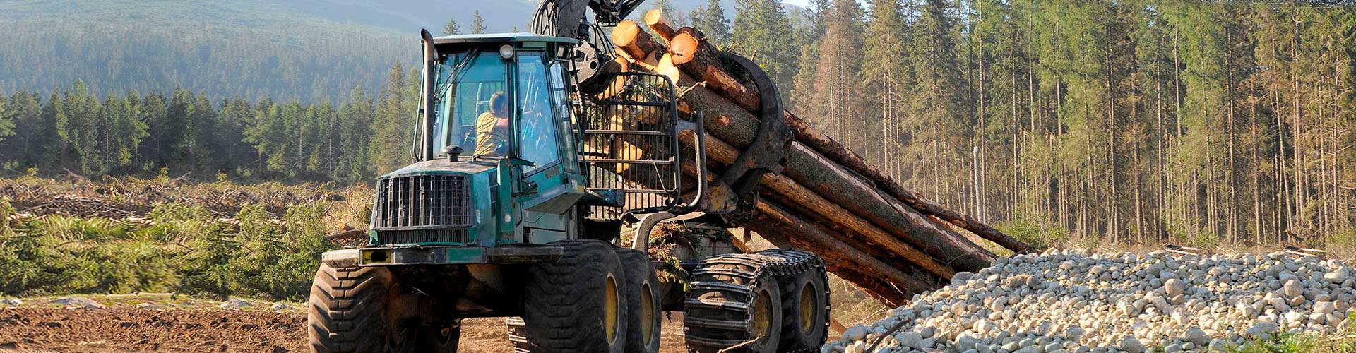 Industria Forestal